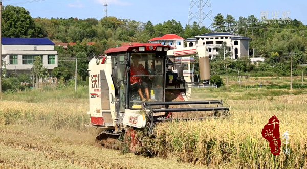 南京开户配资 千城百县看中国｜湖南衡阳：推进秸秆综合利用 实现“变废为宝”